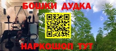 сатива Кулебаки