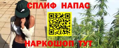 сатива Кулебаки