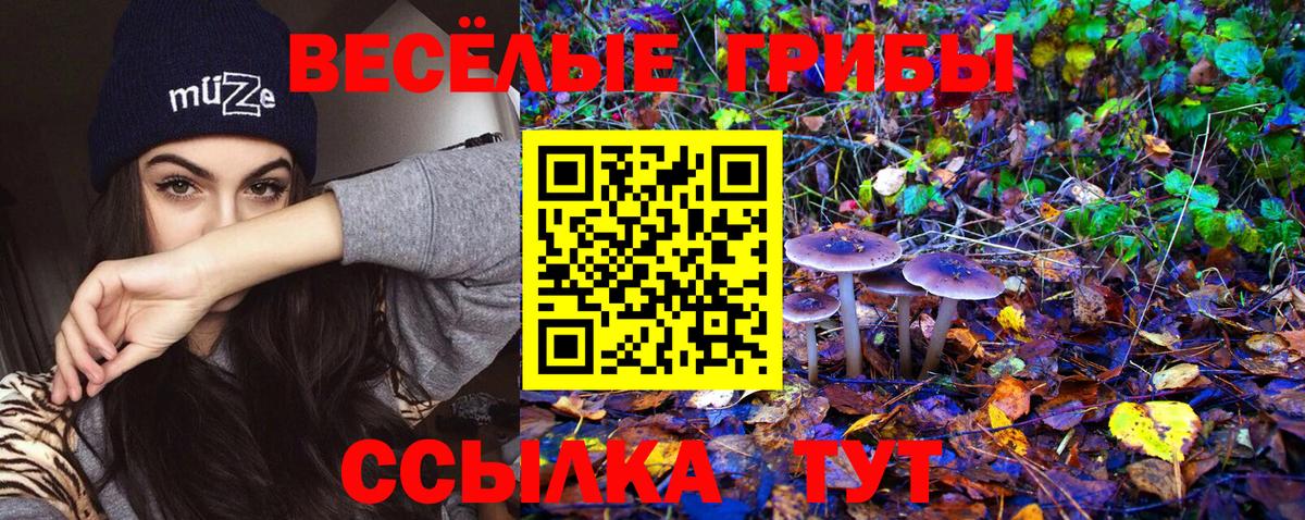 Галлюциногенные грибы мицелий Карталы