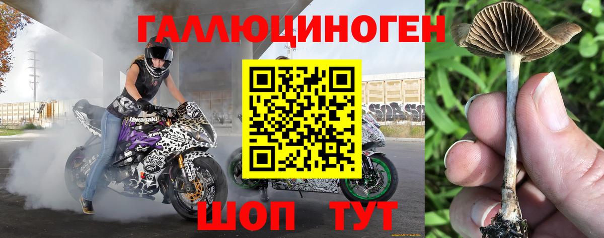 Карталы  Псилоцибиновые грибы ЛСД  Галлюциногенные грибы мухоморы  Вход с VPN 
